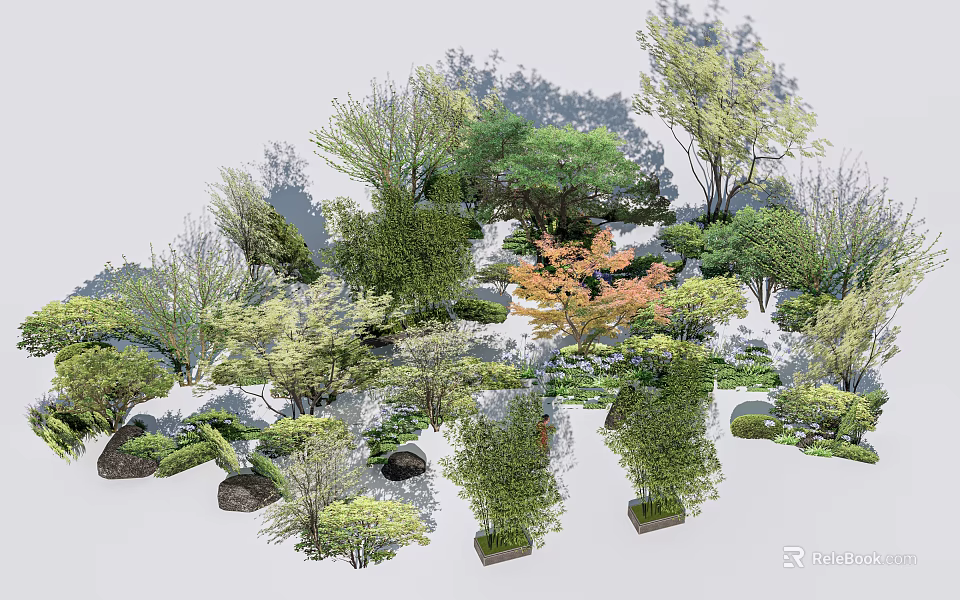 Arboreal Trees With Various Species And Forms In Natural Garden Landscape With Stones 3d model 