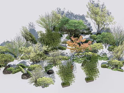 Arboreal Trees With Various Species And Forms In Natural Garden Landscape With Stones 3d model