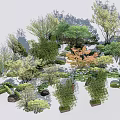 Arboreal Trees With Various Species And Forms In Natural Garden Landscape With Stones
