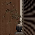 Bamboo Plant In Ceramic Pot Near Wooden Blinds With Brown Walls And Trees Outside