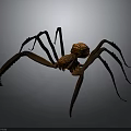 Detailed Brown Spider With Carved Texture Body And Long Legs Isolated On Dark Background