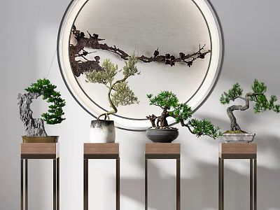Indoor Bonsai Plants Display On Wooden Stands With Circular Wall Art 3d model