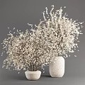 Decorative Potted Plant With Slender Branches White Flowers In White Ceramic Pot