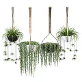Indoor Hanging Basket Plants With Wooden Metal Planters And Trailing Vines