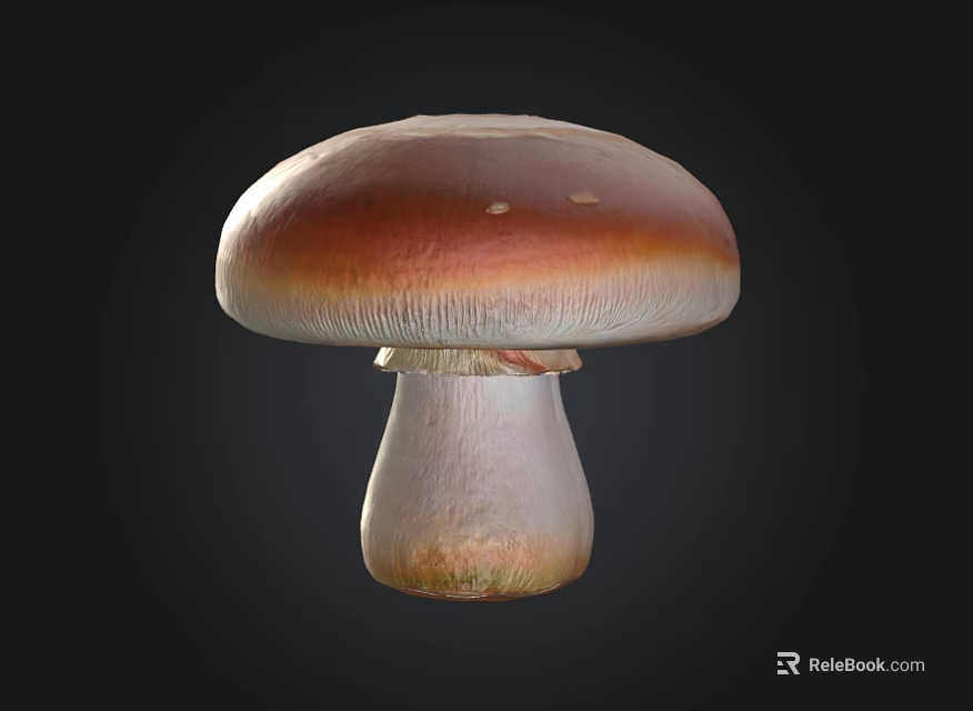 Fresh Natural Mushroom With Brown Cap And White Stem On Black Background 3d model 