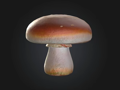 Fresh Natural Mushroom With Brown Cap And White Stem On Black Background 3d model