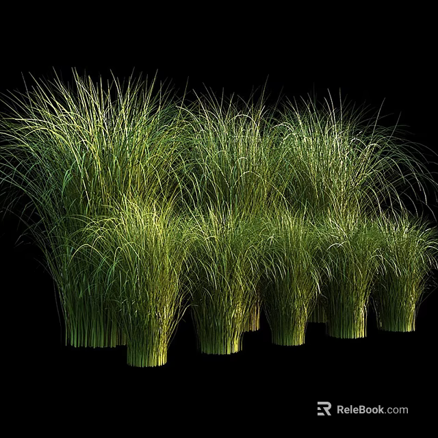 Green Grass Like Plants Decorative Ornaments Set Arranged On Black Background 3d model 