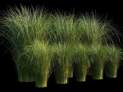 Green Grass Like Plants Decorative Ornaments Set Arranged On Black Background 3d model