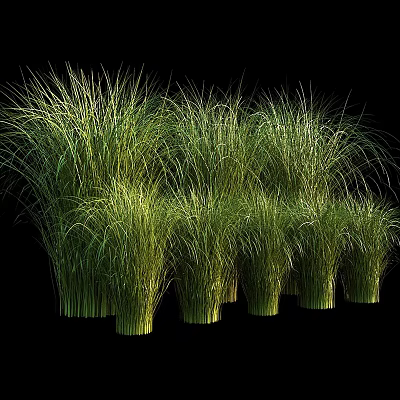 Green Grass Like Plants Decorative Ornaments Set Arranged On Black Background 3d model