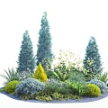 Garden Plant Combination With Tall Blue Conifers Yellow Cone Shaped Plants And White Flowers