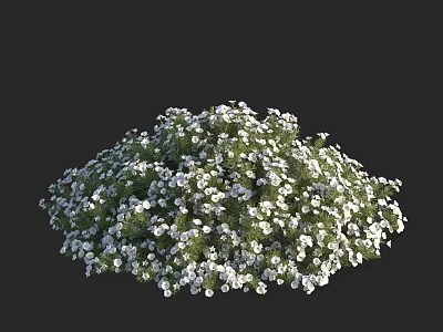 Lush Garden Bush Adorned With White Flowers And Green Foliage 3d model