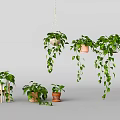Lush Hanging Plants In Basket Pots With Trailing Vines And Indoor Greenery