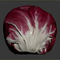 Fresh Radicchio Vegetable With Vibrant Red And White Leaves On Dark Background