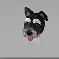 Black and white dog head with white eyebrows whiskers and tongue sticking out