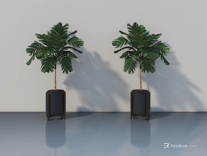 Sleek Swing Door Design With Green Plants Black Planters And Light Walls 3d model 