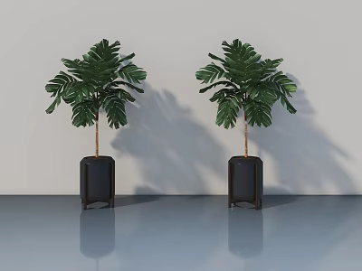 Sleek Swing Door Design With Green Plants Black Planters And Light Walls 3d model