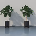Sleek Swing Door Design With Green Plants Black Planters And Light Walls