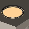 Modern Round Ceiling Light With Soft White Glow And Sleek Border Design 3d model