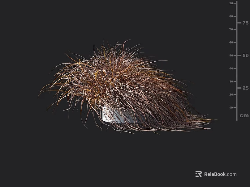 Feathery Brown Yellow Grass Leaves In White Container With Dark Background Height Scale 3d model 