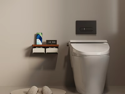 Modern White Toilet With Wall Mounted Wooden Shelf Toiletries Round Mat And Slippers 3d model