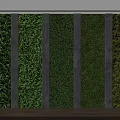 Green Living Wall Design With Concrete Panels And Various Green Plants In Modern Interior