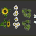 Vibrant Floral Arrangement With Yellow Sunflowers White Flowers And Green Leaves