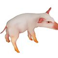 White Piglet Figurine With Pink Ears Nose And Orange Hooves