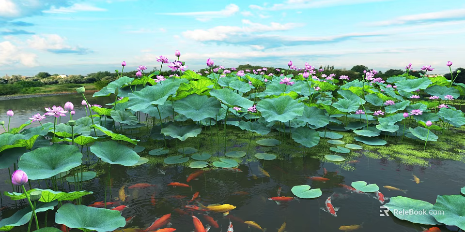 Scenic Lotus Pond Landscape with Pink Flowers Green Leaves Koi Fish Under Blue Sky White Clouds 3d model 