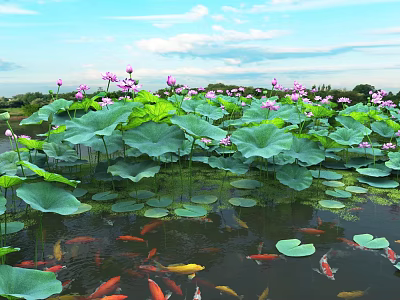 Scenic Lotus Pond Landscape with Pink Flowers Green Leaves Koi Fish Under Blue Sky White Clouds 3d model