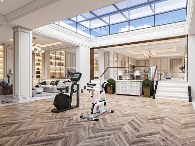 Luxurious Entertainment Room With Fitness Equipment And Skylight 3d model