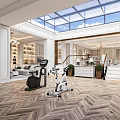 Luxurious Entertainment Room With Fitness Equipment And Skylight
