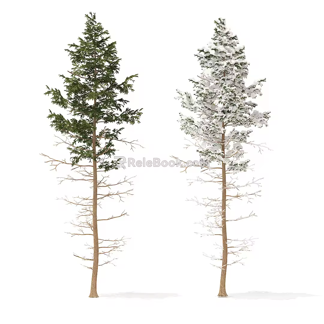 Modern Tree Pine 3d model