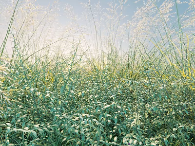 Lush Green Shrubs With Dense Foliage Thriving In Sunlit Natural Outdoor Space 3d model