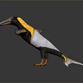 Colorful Flying Bird with Black Yellow White Feathers Long Beak and Orange Feet