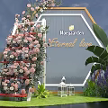 Hexagonal Photo Spot Hoeegaarden Eternal Love With Pink Flowers Greenery And Blue Sky Background