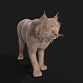 Realistic 3D Brown Lynx Rendering With Tufted Ears and Whiskers on Black Background
