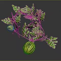 Fresh Striped Melons with Green Vines and Leaves on Blue Background with Reflection