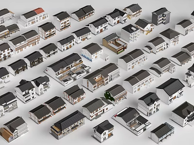 Rural Self Built Houses With Various Architectural Designs And Roof Styles 3d model