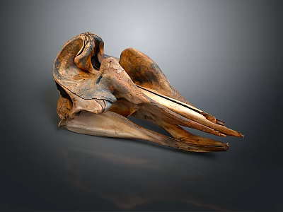Vintage Brown Animal Skull Decorative Ornament For Home Interior Decoration 3d model