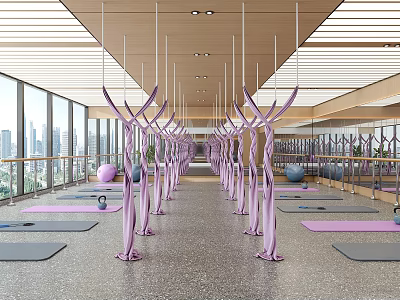 Yoga Studio With Mats Aerial Hammocks And Urban View 3d model