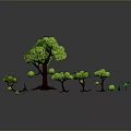 Green Plants Arrangement With Main Tree And Smaller Trees In Landscape