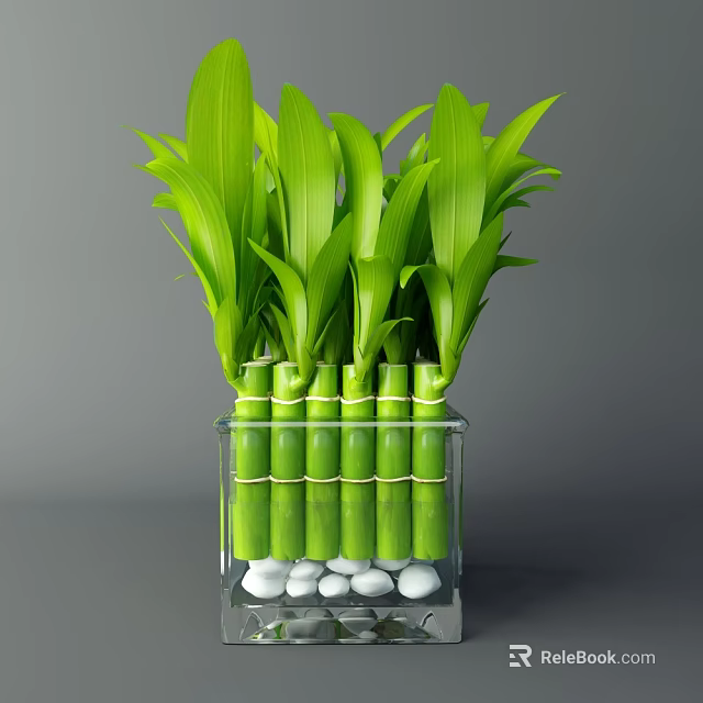Fresh Green Bamboo Stalks Arranged in Transparent Square Vase with White Pebbles Base 3d model 