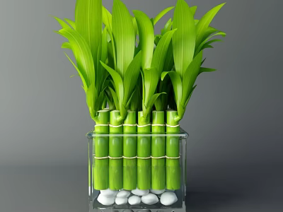 Fresh Green Bamboo Stalks Arranged in Transparent Square Vase with White Pebbles Base 3d model