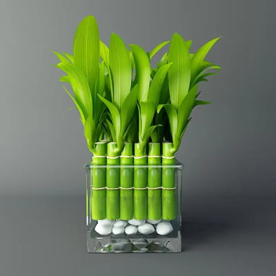 Fresh Green Bamboo Stalks Arranged in Transparent Square Vase with White Pebbles Base 3d model