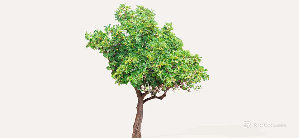 Tall Arbor With Lush Green Leaves And Brown Trunk In Natural Setting 3d model 