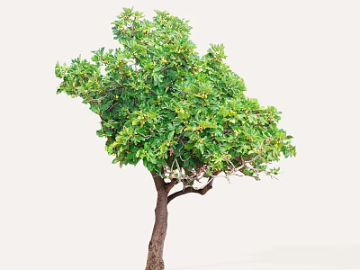 Tall Arbor With Lush Green Leaves And Brown Trunk In Natural Setting 3d model