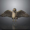Detailed Falcon Bird with Spread Wings Standing on Reflective Gray Background