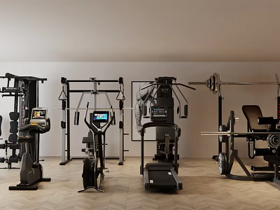 High Quality Modern Sports Equipment For Gym Including Cardio Machines And Strength Training Gear 3d model