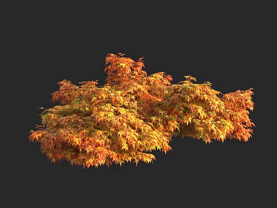 Autumn Arbor With Lush Orange And Red Foliage In Natural Setting 3d model