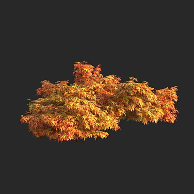 Autumn Arbor With Lush Orange And Red Foliage In Natural Setting 3d model